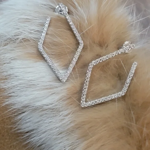 NIB Hoop Earrings Adornia - Picture 13 of 13